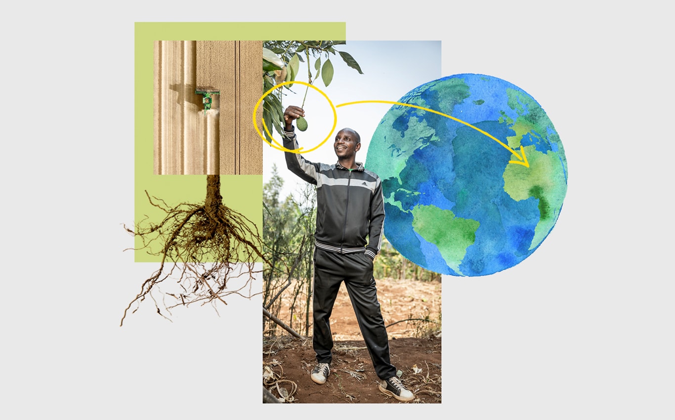Luftaufnahme eines John Deere Feldhäckslers auf einem Feld, eine Person, die nach einer an einem Baum hängenden Avocado greift, und ein Pfeil, der auf einer Abbildung der Erde nach Afrika zeigt.
