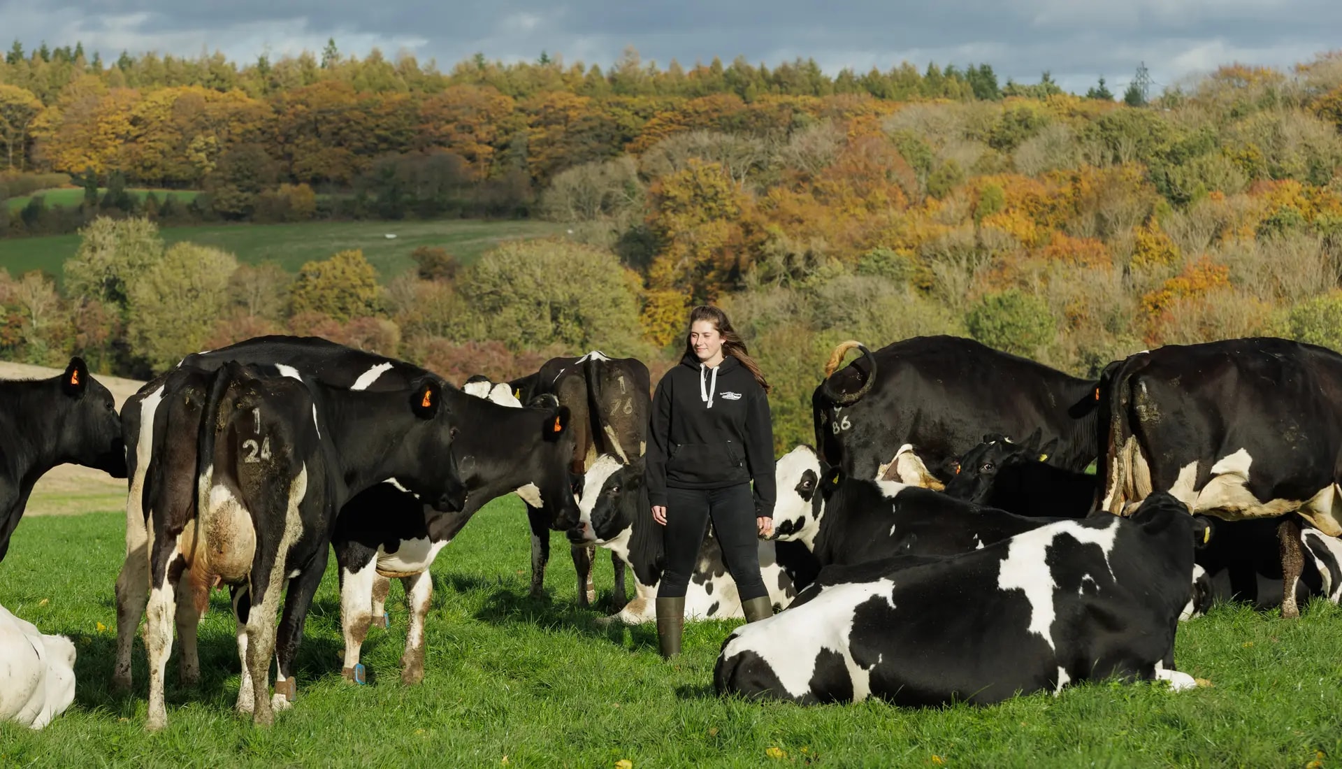 Erfolgreiche Milchviehhaltung durch Teamarbeit Erfolgreiche Milchviehhaltung durch Teamarbeit