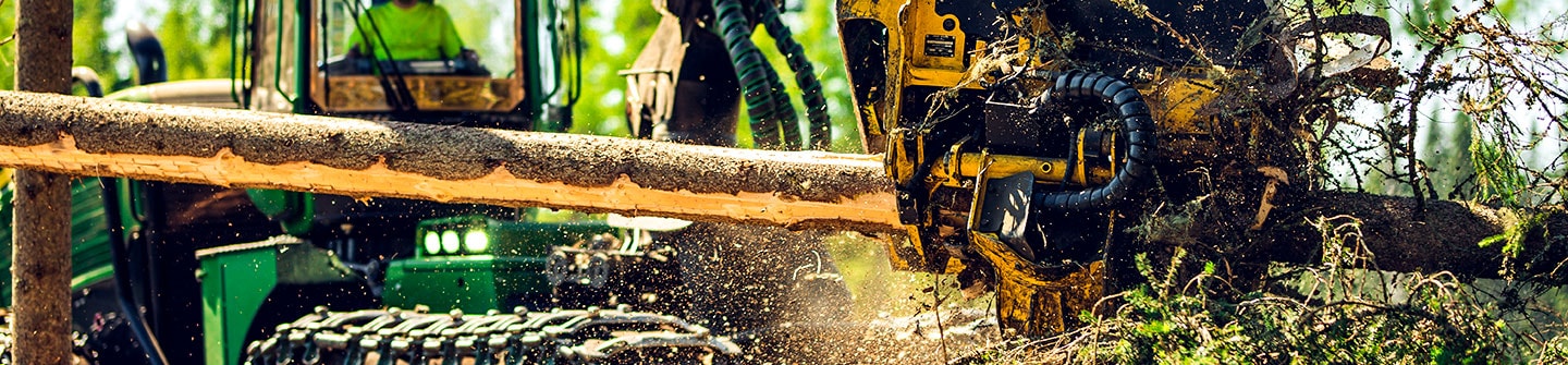 Rad-Harvester John Deere und Harvesterkopf mit Holz