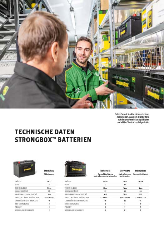 Technische Daten StrongBox<sup>TM</sup> Batterien