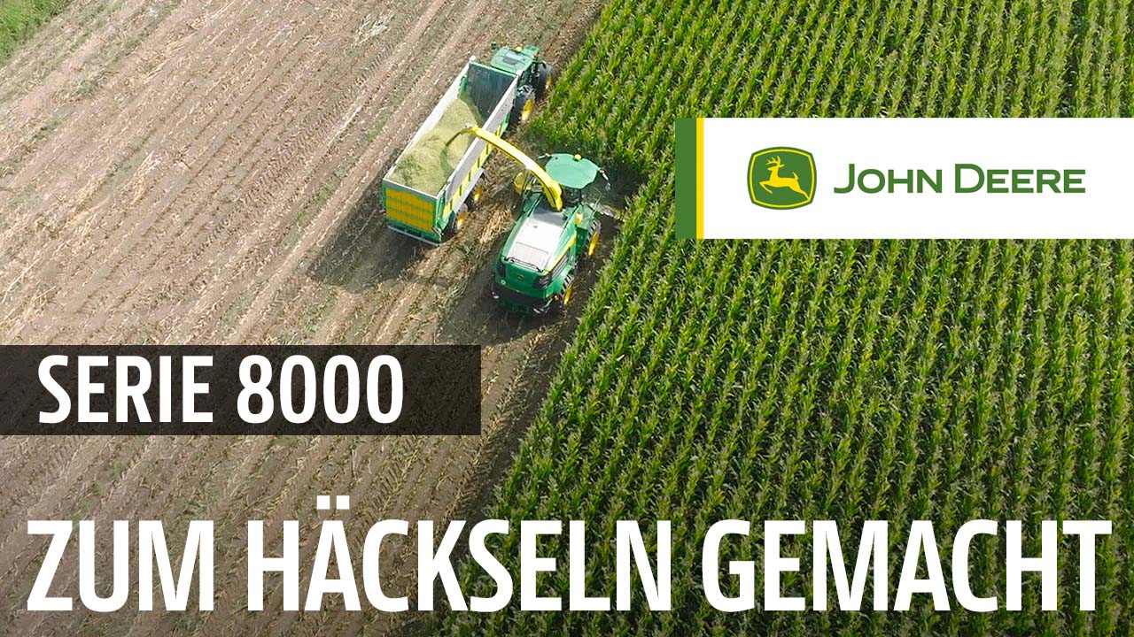 8000